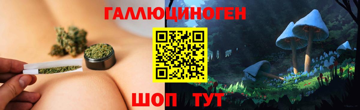 Псилоцибиновые грибы Cubensis Минеральные Воды